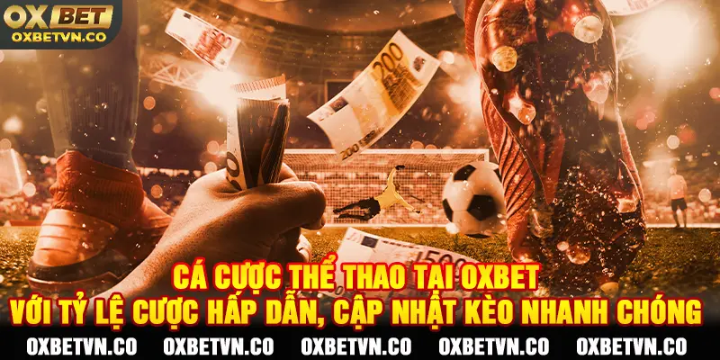 Cá cược thể thao tại OXBET với tỷ lệ cược hấp dẫn